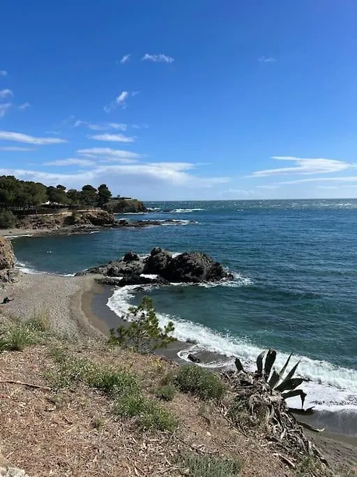 El Valles Apartment Sea View Llanca